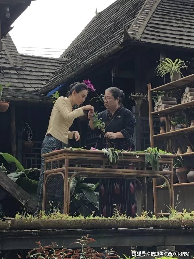 逗小猴开心系列172