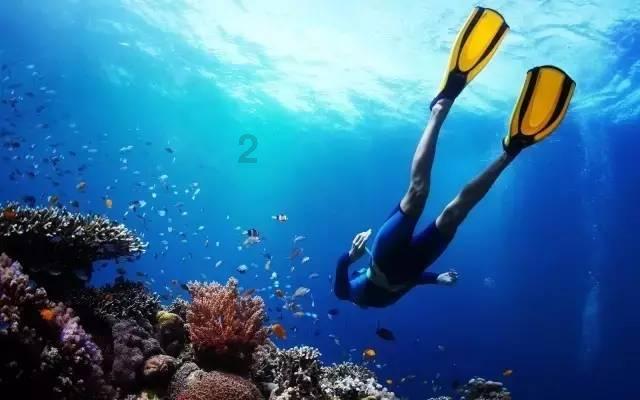 AI 应用逐渐广泛，会导致网络安全攻击变得更简单还是更难？游戏画面