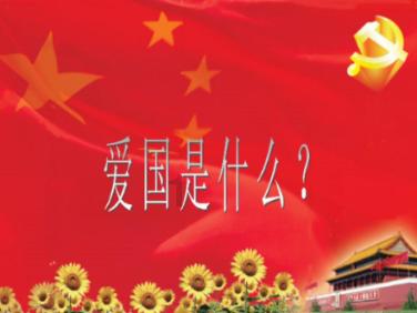 救援七星瓢虫